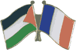 Palestine and France Flags lapel pin