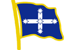Eureka flag pin