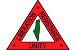 Palestine unity pin
