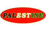 Standard Palestine pin