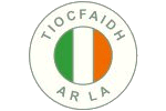 Sinn Fein pin