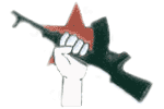 INLA/IRSP pin