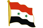 Syria Flag lapel pin