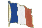 France Flag lapel pin