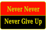 Never give up pin