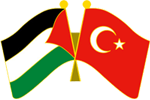Palestine and Turkey Flags Pin Iron stamped