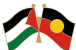 Palestine and Aboriginal Flags Pin