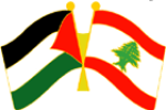 flagpinPalestine _ Lebanon